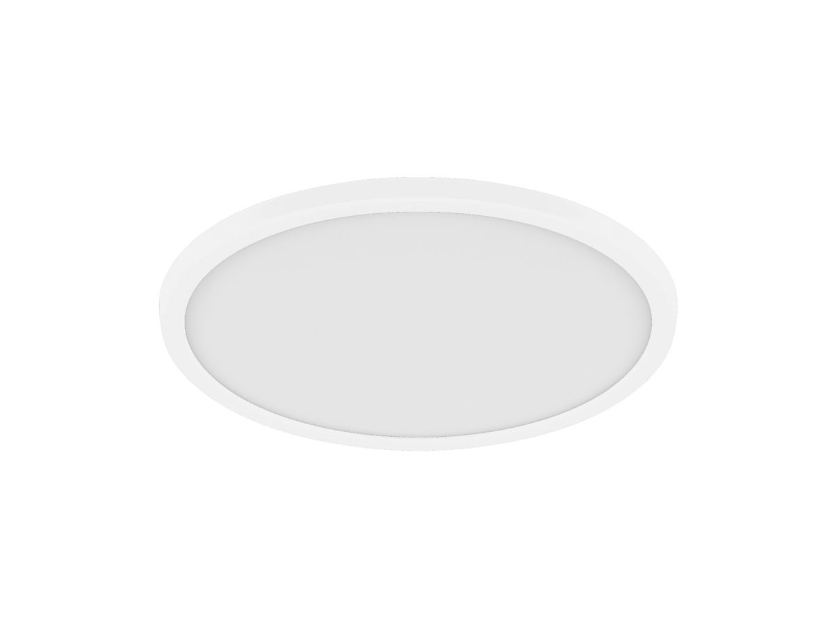 Ultrathin V Architectural Oyster