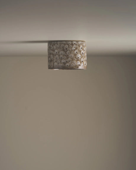 Short Cylinder Ceiling Light by Robert Gordon