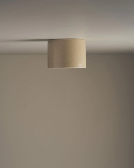 Short Cylinder Ceiling Light by Robert Gordon