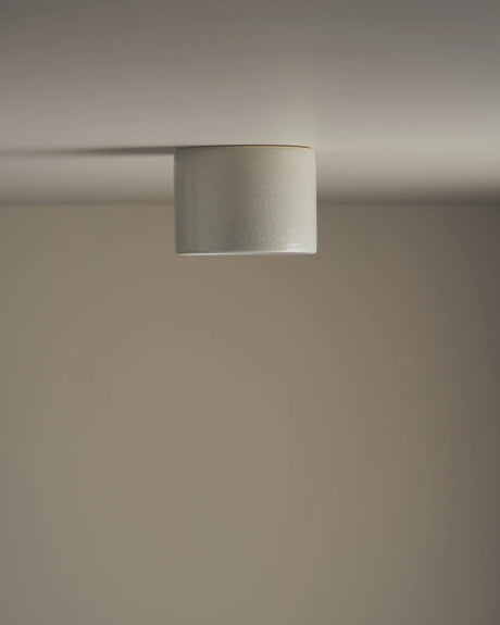 Short Cylinder Ceiling Light by Robert Gordon