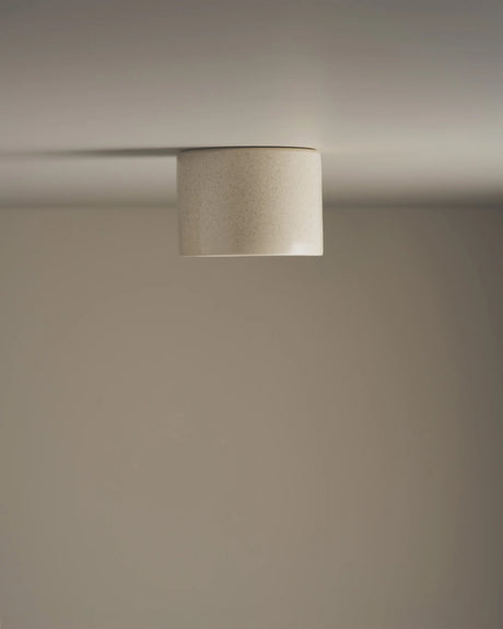 Short Cylinder Ceiling Light by Robert Gordon