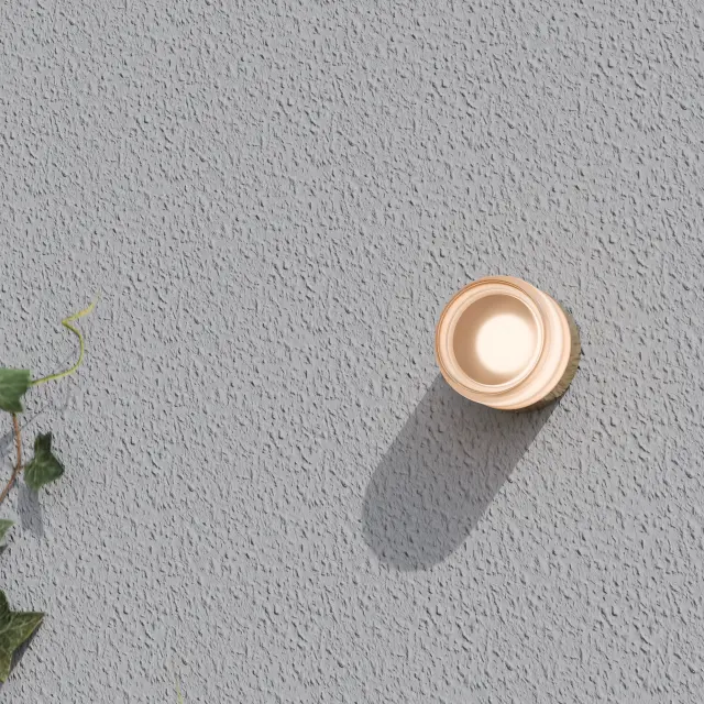 Gull Wall Light