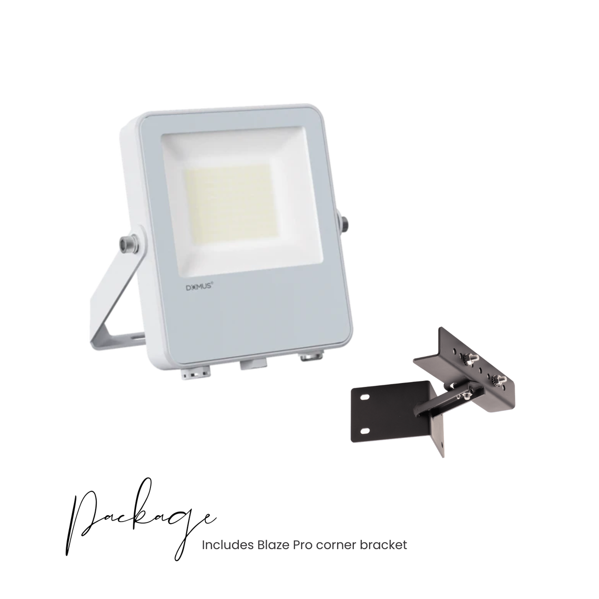 Blaze-Pro Series LED Floodlight - White