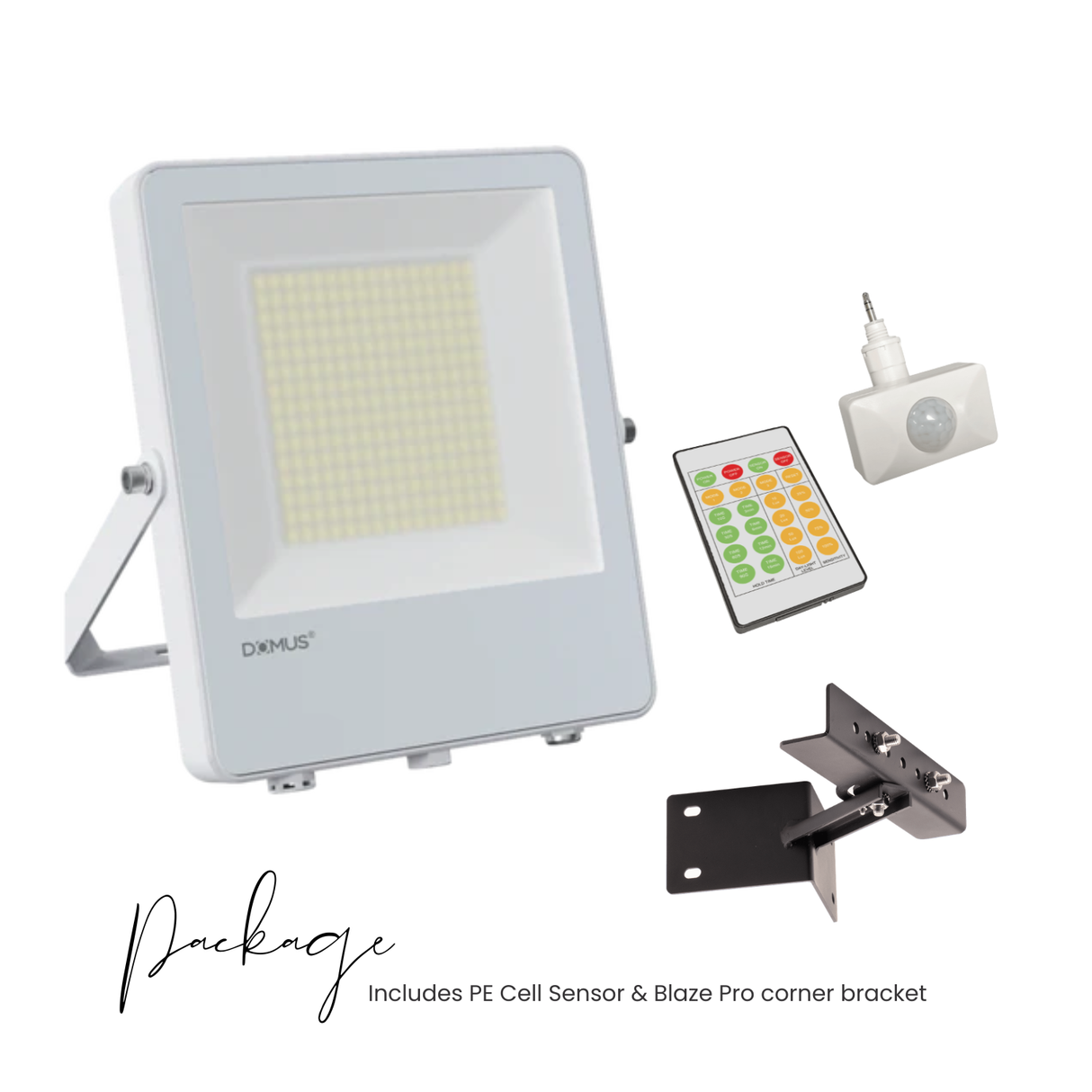 Blaze-Pro Series LED Floodlight - White