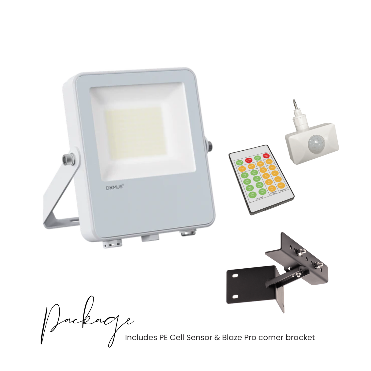 Blaze-Pro Series LED Floodlight - White