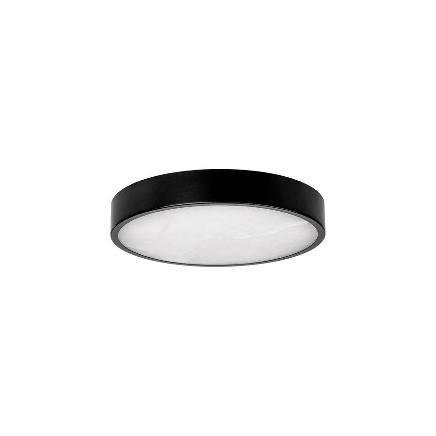 Auster Black Oyster Light with Spanish Alabaster Glass