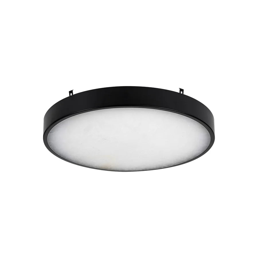 Auster Black Oyster Light with Spanish Alabaster Glass