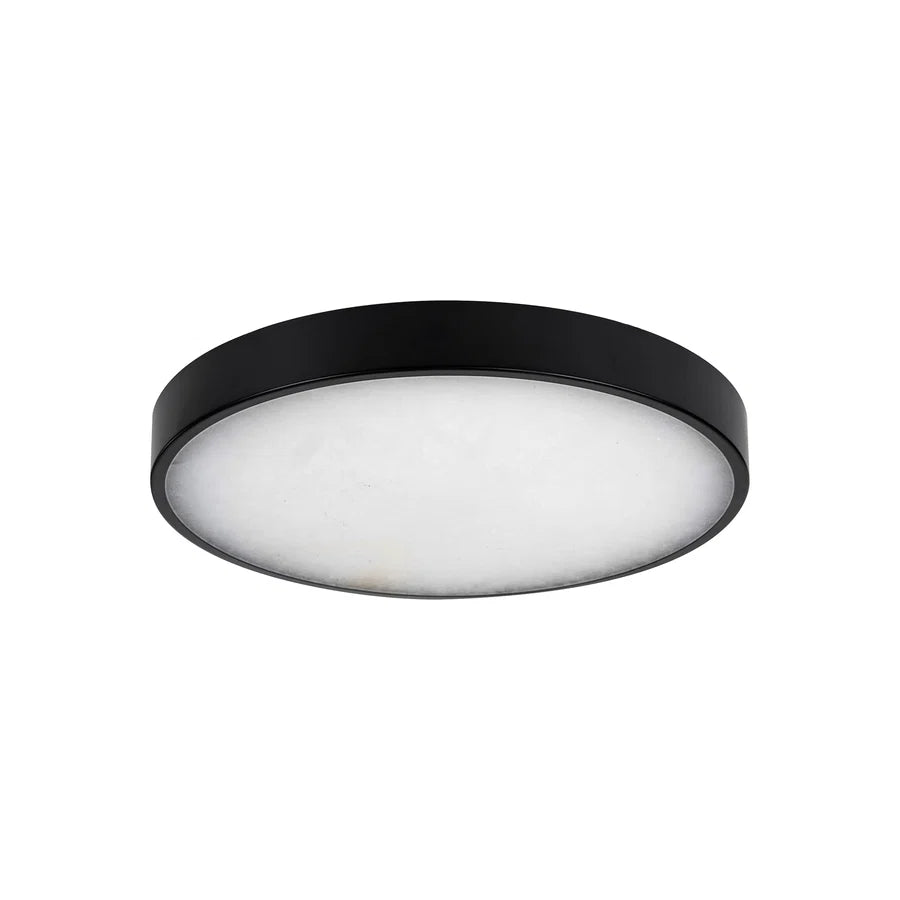 Auster Black Oyster Light with Spanish Alabaster Glass