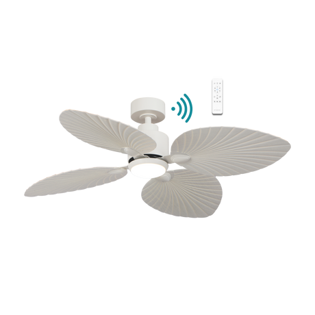 Kingston 50" DC Ceiling Fan