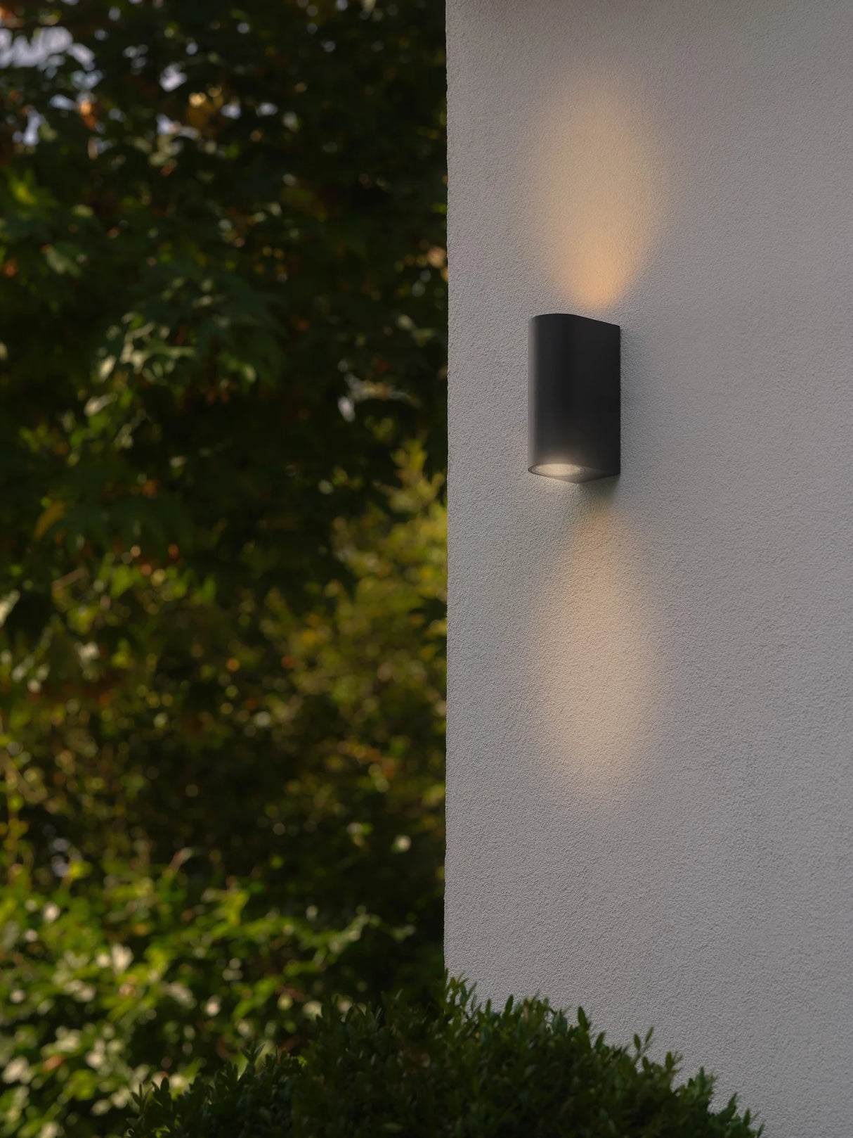 Dion Double Wall Light