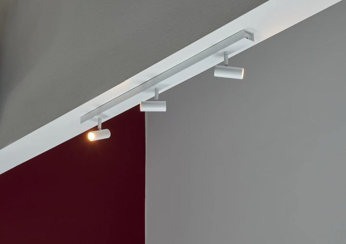 Omari 3 Spot Ceiling