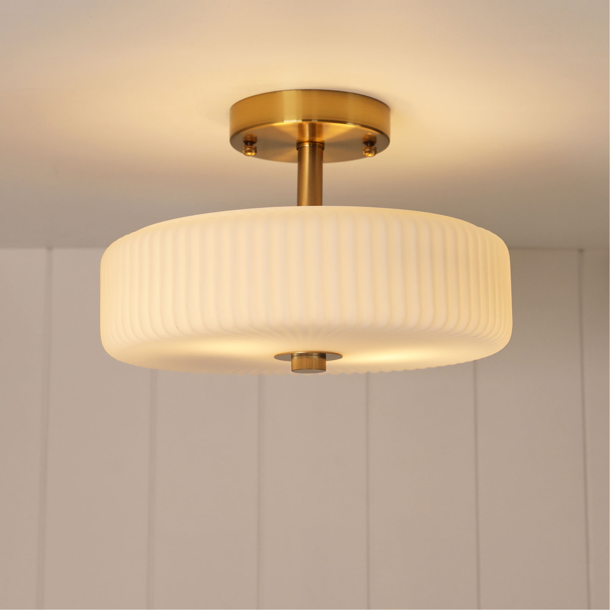 Willow Close to Ceiling