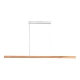 Avocent Linear Pendant