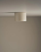 Short Cylinder Ceiling Light by Robert Gordon