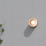 Gull Wall Light