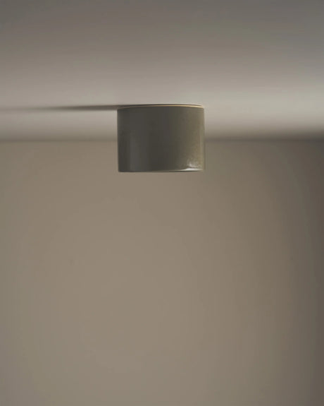 Short Cylinder Ceiling Light by Robert Gordon