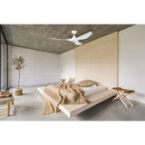Surf DC Ceiling Fan