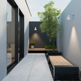 Becard Wall Light