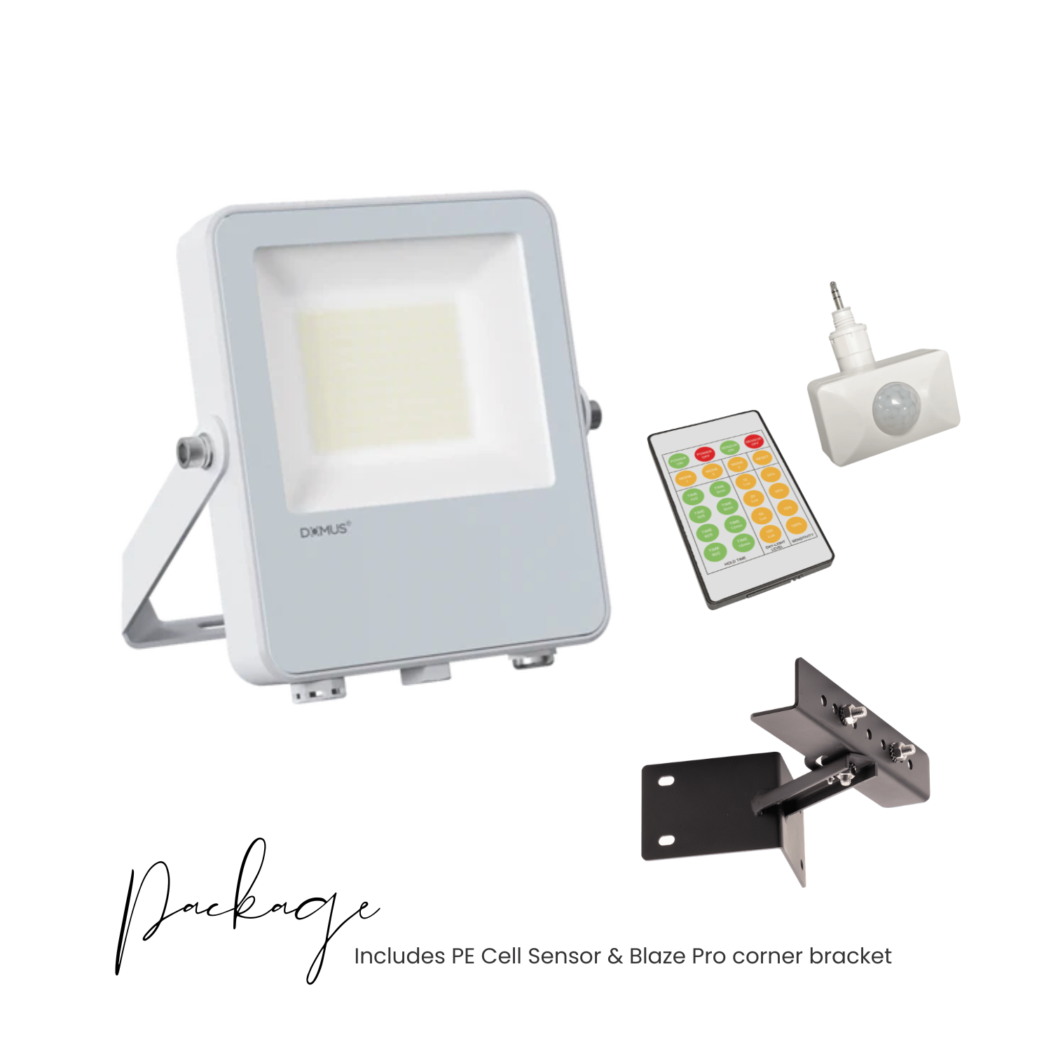 Blaze-Pro Series LED Floodlight - White