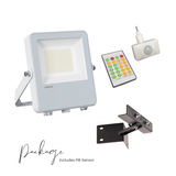 Blaze-Pro Series LED Floodlight - White