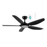 Esprit DC ceiling fan