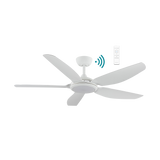Esprit DC ceiling fan