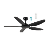 Esprit DC ceiling fan