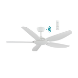 Esprit DC ceiling fan