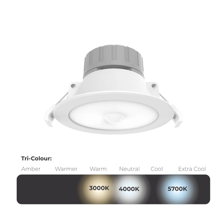Haneco VIVA SEN Downlight with Sensor