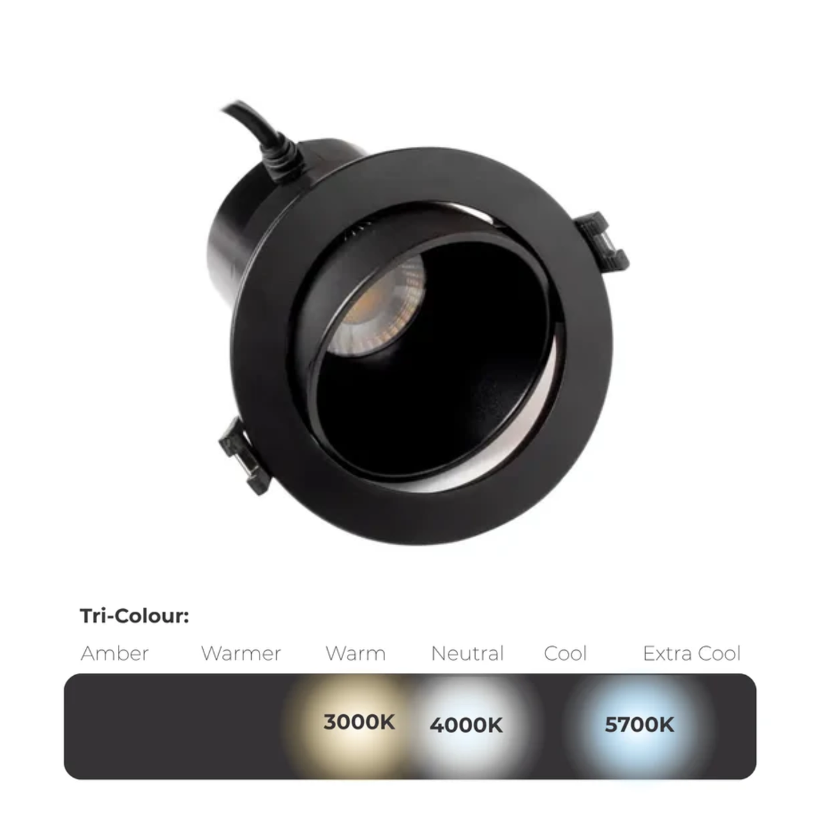 CASSIE 8W LED Adjustable Downlight