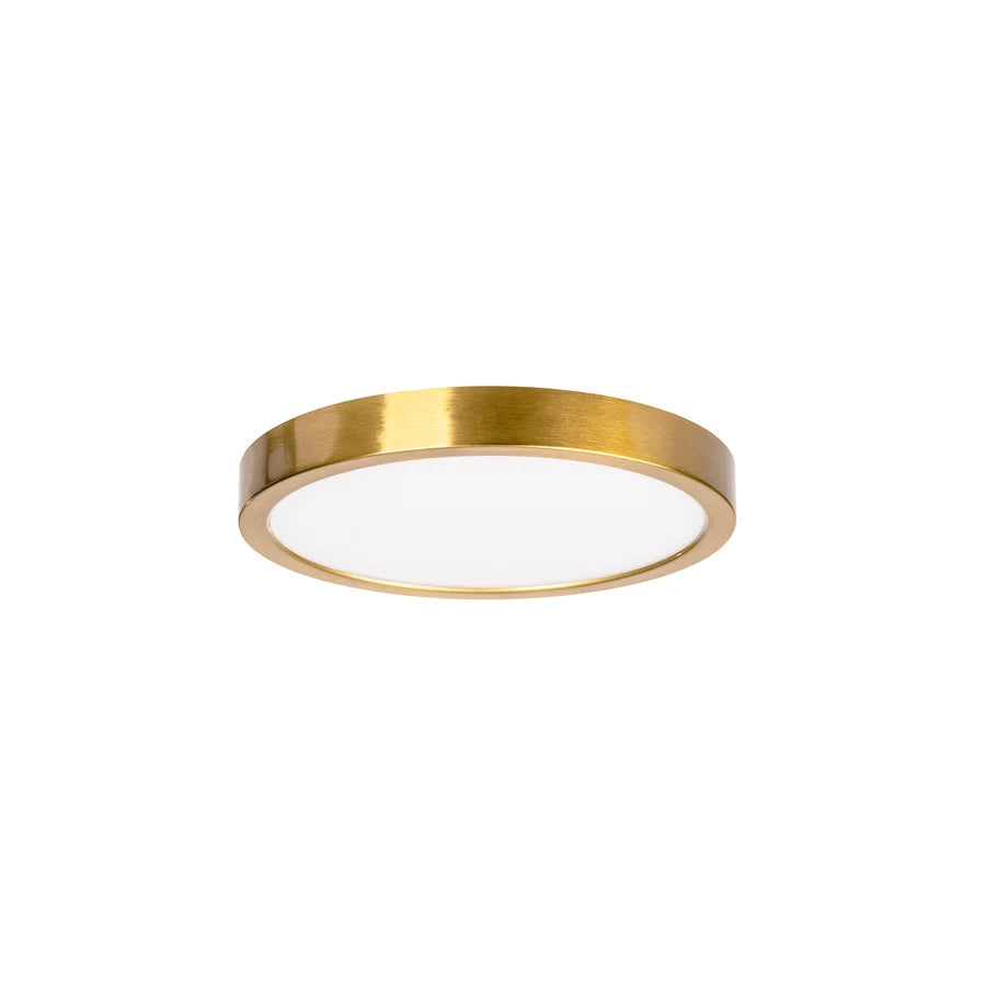 Auster Gold Oyster Light