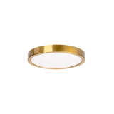 Auster Gold Oyster Light