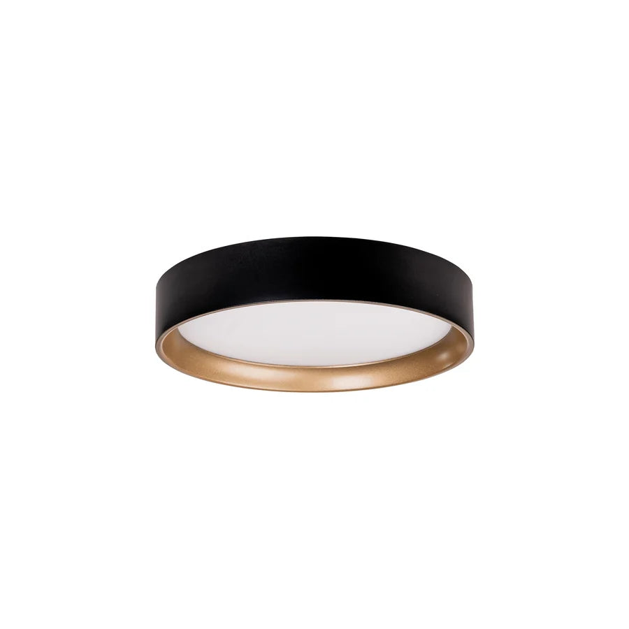 Auster Black Oyster Light with Gold Accent Rim
