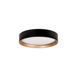 Auster Black Oyster Light with Gold Accent Rim
