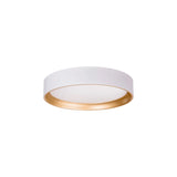 Auster White Oyster Light with Gold Accent Rim