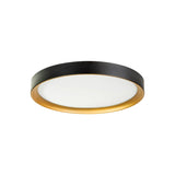 Auster Black Oyster Light with Gold Accent Rim