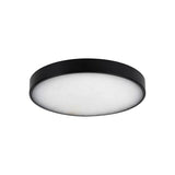 Auster Black Oyster Light with Spanish Alabaster Glass