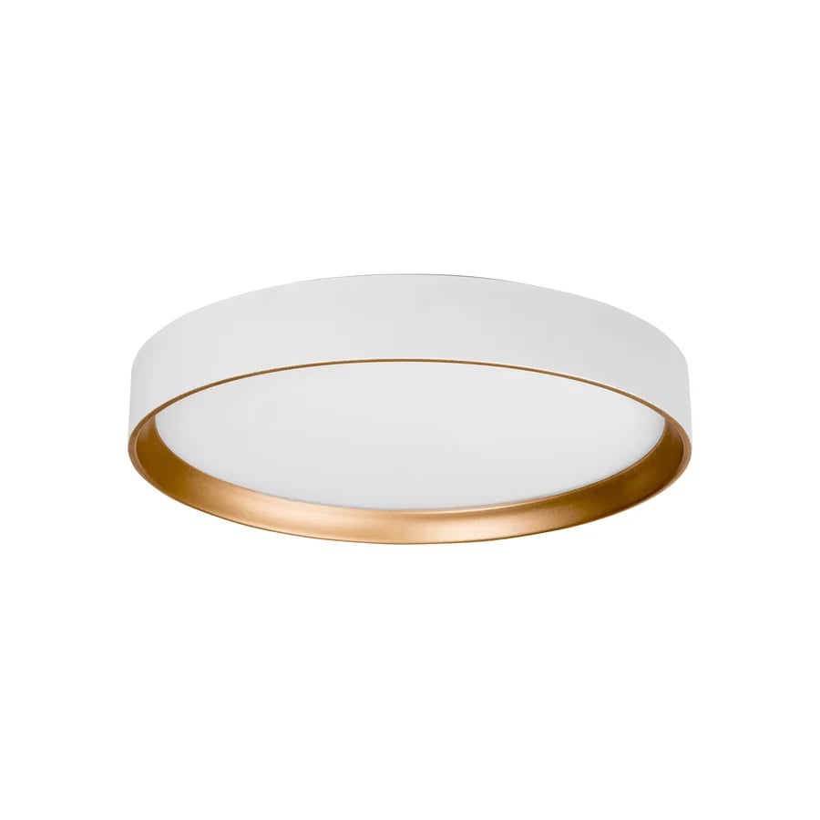 Auster White Oyster Light with Gold Accent Rim