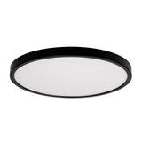 Auster Black Oyster Light