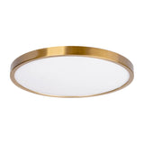 Auster Gold Oyster Light