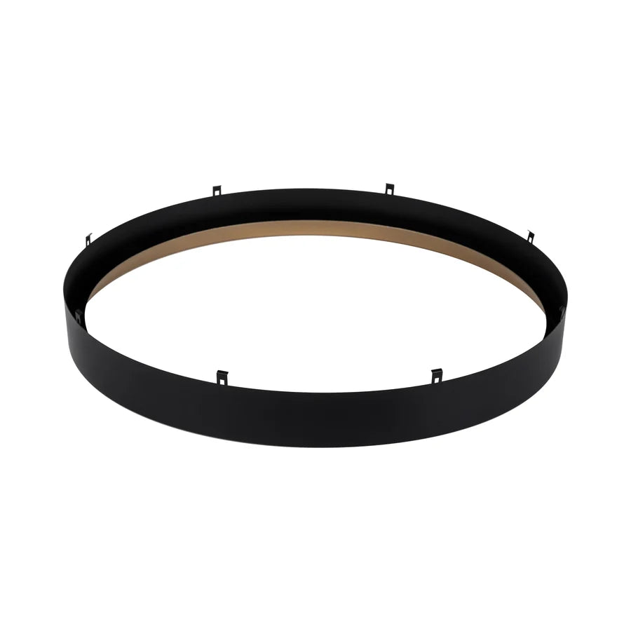 Auster Black Oyster Light with Gold Accent Rim