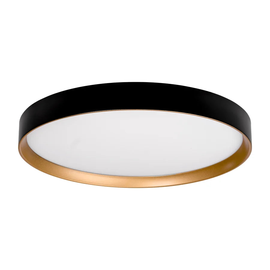Auster Black Oyster Light with Gold Accent Rim