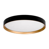 Auster Black Oyster Light with Gold Accent Rim