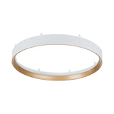 Auster White Oyster Light with Gold Accent Rim