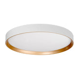 Auster White Oyster Light with Gold Accent Rim
