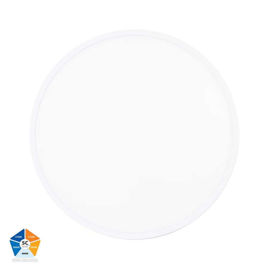 Auster White Oyster Light
