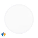 Auster White Oyster Light