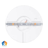Auster White Oyster Light