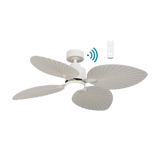 Kingston 50" DC Ceiling Fan