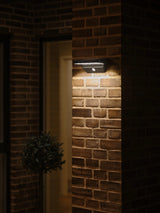 Agena Solar Wall Light